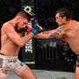 Miranda and Chapolin defend their titles in LFA 215