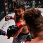 LFA 224 Live Results