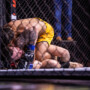 SOUSA DELIVERS AN IMPRESSIVE FINISH TO TOP LFA 238 IN BRASÍLIA